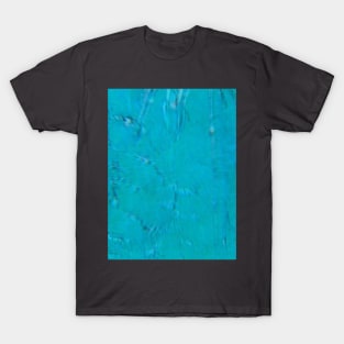 Disintegrated Season of Pain T-Shirt